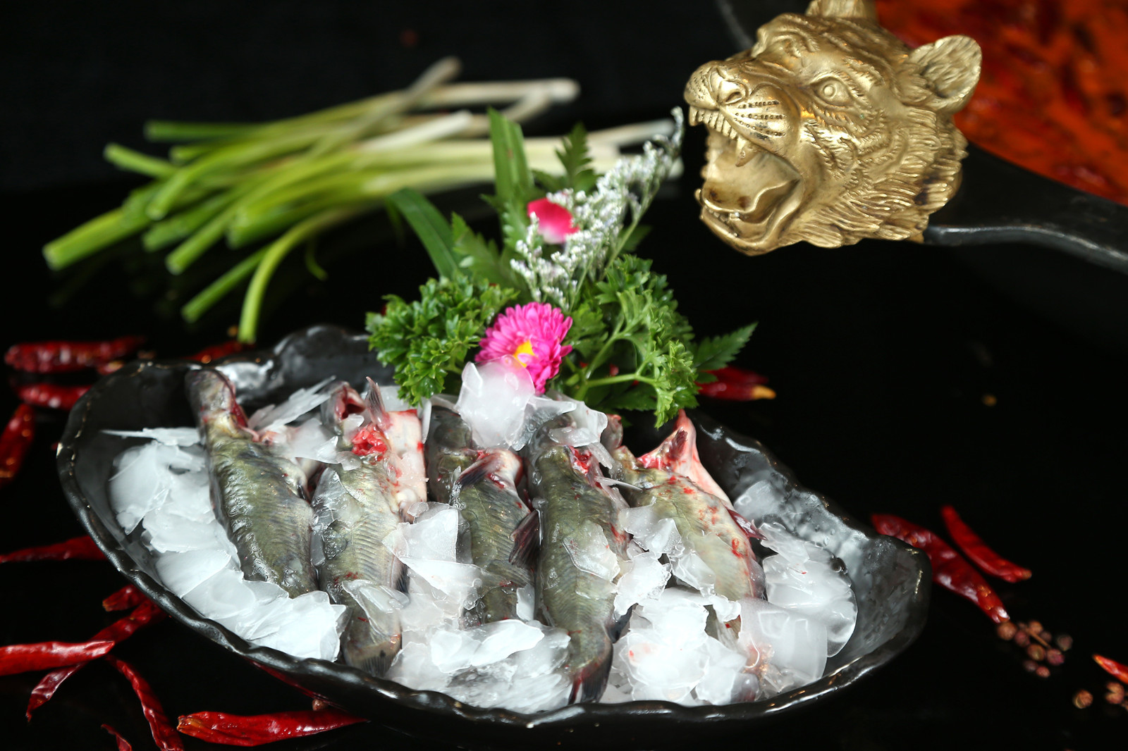 黃(huáng)辣丁.JPG